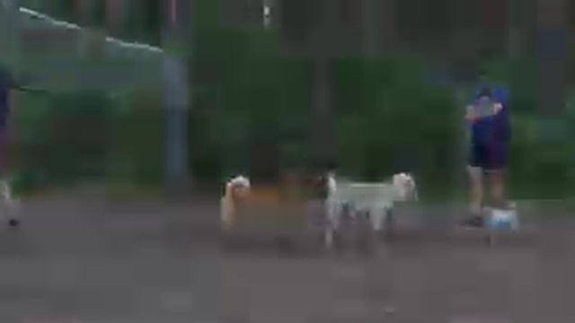 Карелия лето 2022 смотреть онлайн