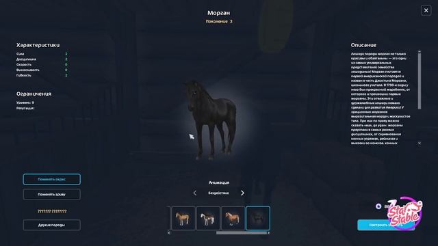 Обновление. Пинтабианы и амуниция |Star Stable Online| смотреть онлайн