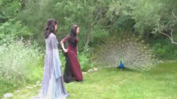 Mirabilis - World Indifferent