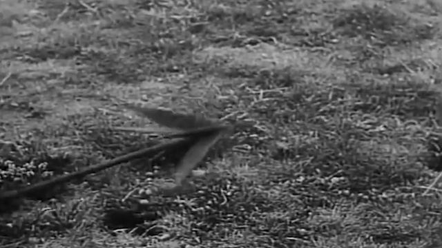 Even Rommel Admired The Men Sent to Kill Him смотреть онлайн