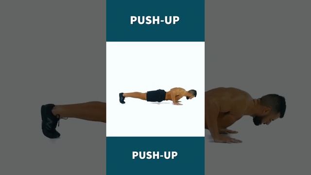 Pushup Routine for Increasing Endurance and Stamina смотреть онлайн