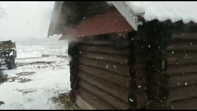 Баня по чёрному смотреть онлайн