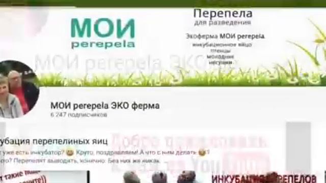 Поздравь страну как президент! Видео от Владимира и Марины Антоновых, Новокузнецк смотреть онлайн