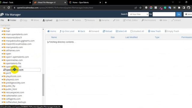 WordPress Critical Error fix - Bangla смотреть онлайн