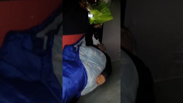 Где спит медведь смотреть онлайн