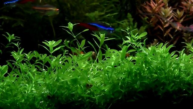 Последний день 128 литров или 25 месяцев после запуска.(4 января 2018) смотреть онлайн