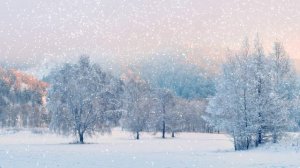 Футаж. Зимний пейзаж 87