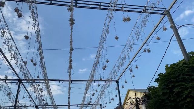АНТИКВАРНЫЙ ВЛОГ?? ОДИН ДЕНЬ В КАЛУГЕ? В ПОИСКАХ АНТИКВАРИАТА И ВИНТАЖА☕️ НОВЫЙ ФАРФОР ? смотреть онлайн