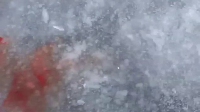 ЗИМНЯЯ РЫБАЛКА В ГЛУХОЗИМЬЕ ЛОВЛЯ СУДАКА НА ЖИВЦА НА ЖЕРЛИЦЫ ЗИМОЙ БеШаНыЙ КлЁв! р. Южный Буг!! смотреть онлайн