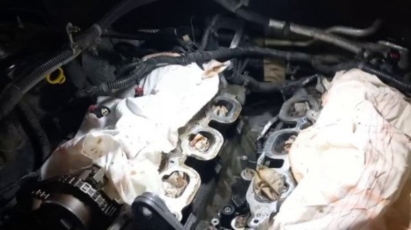 2_5424975266046819176.mp4