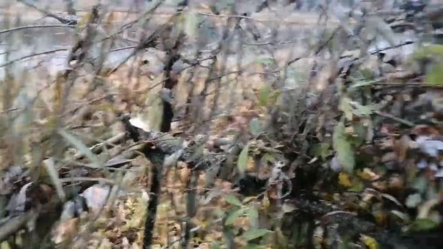 Когда делать нечего. смотреть онлайн