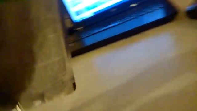 СТОИТ ЛИ ПОКУПАТЬ КОРМ КИТИКЭТ смотреть онлайн