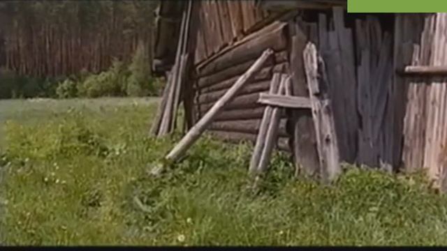 Заповедник "Большая Кокшага" | Местные жители смотреть онлайн