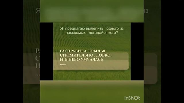 Лепка Насекомые смотреть онлайн