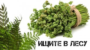 Переходим на папоротник. Прощай Макдональдс