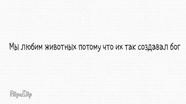 Почему мы любим животных смотреть онлайн