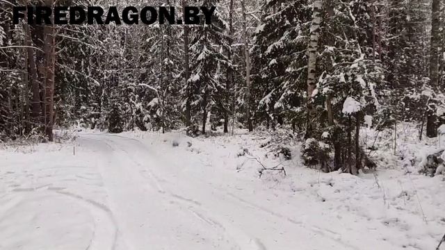 Петарды FPC629 Super Cobra | Firedragon.by