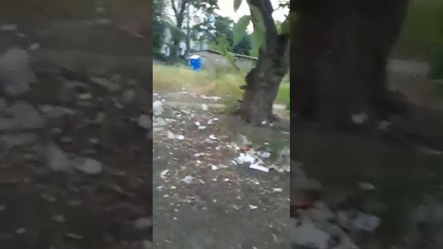 такое безобразие тварится по адресу г. Воронеж Ленинский проспект 88 и 92/2. смотреть онлайн