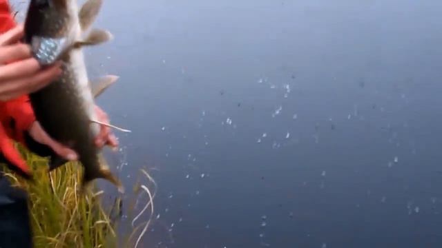 Куда поехать за щукой Часть2 смотреть онлайн