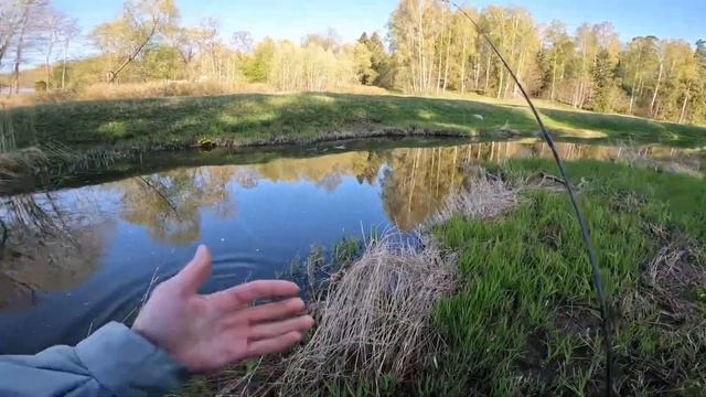 ЩУКИ ГНУТ СПИННИНГ НА МИКРО-РЕЧКЕ.ЛОВЛЯ ЩУКИ НА СПИННИНГ ВЕСНОЙ.РЫБАЛКА НА ЩУКУ.ВОБЛЕРЫ смотреть онлайн