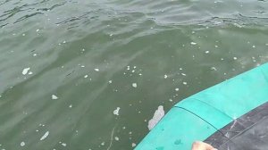 ЩУКА НА ВОДОХРАНИЛИЩЕ НЕБЕРДЖАЙ, РЫБАЛКА НА НЕБЕРДЖАЕ, ЛОВИМ С ЛОДКИ, ЛАВИМ С БЕРЕГА, НА ХИЩНИКА!