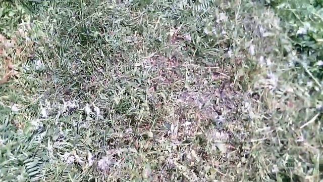 Косю віку смотреть онлайн