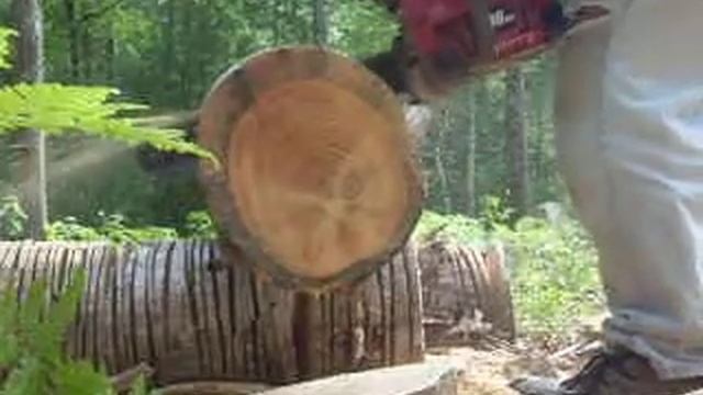 DSCN4165.MOV Homelite 46cc chainsaw, dull chain смотреть онлайн