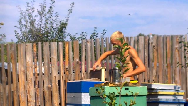 Апихелс проба смотреть онлайн