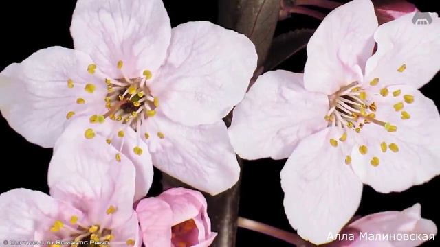 17 августа 2022 г. смотреть онлайн