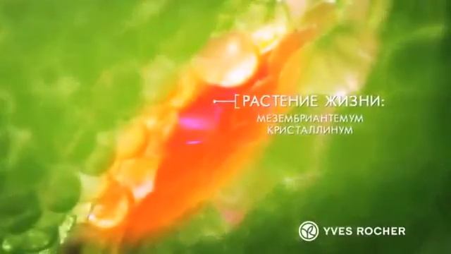 Sérum Végétal Yves Rocher