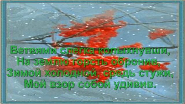Люблю я смотреть на рябину(Видео стихи-Макасеевой Оксаны) смотреть онлайн