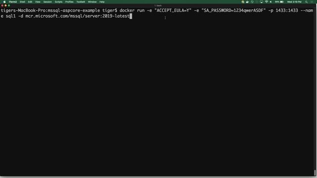 SQL Server 2019 in Containers | Data Exposed смотреть онлайн