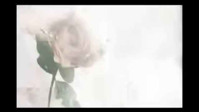 ПОСТ. Порицаемое во время поста смотреть онлайн