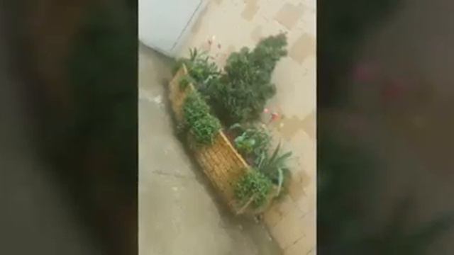 Сочи. Абхазия. Андрюха, Макс и я)) смотреть онлайн