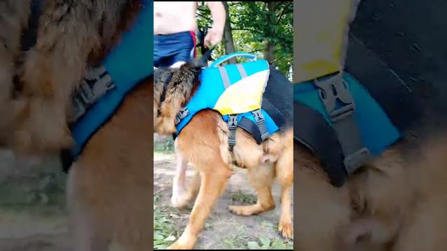 Илюшка.mp4 смотреть онлайн