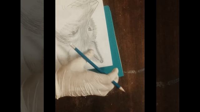 Wolf Sketch Timelapse | Creations by ALi смотреть онлайн