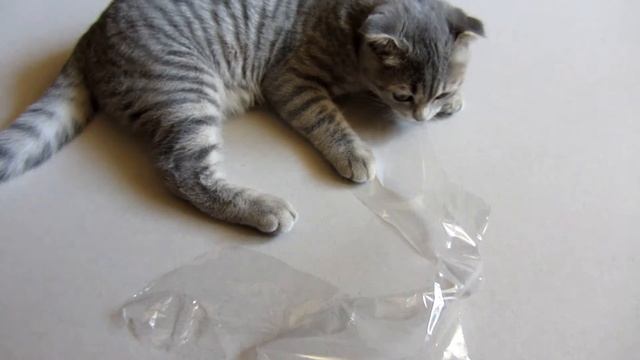 FIFA 12 (PS3) Распаковка смотреть онлайн