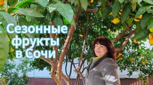 Сезонные фрукты в Сочи