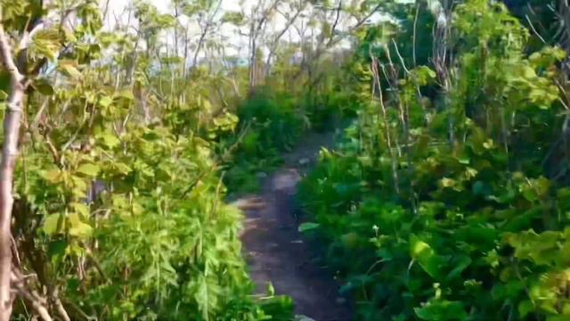 Прогулка на мыс Тобизина, остров Русский . Timelapse . смотреть онлайн