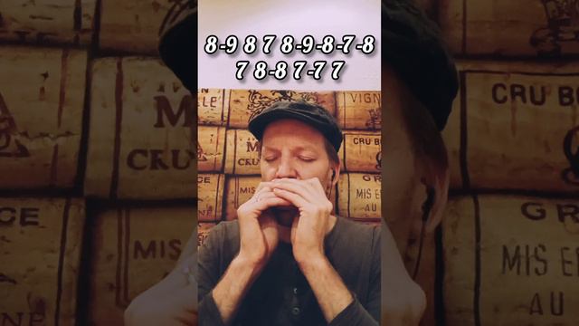 The Derry Hornpipe - Harmonica (+Tabs) @ramblinpedro смотреть онлайн