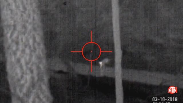 ATN Thor 1.25-5x thermal varmint hunting - 3 racoons, 1 armadillo, hog sightings смотреть онлайн