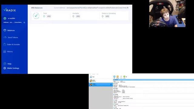 Radix Wallet and VirtualBox for setting up node смотреть онлайн