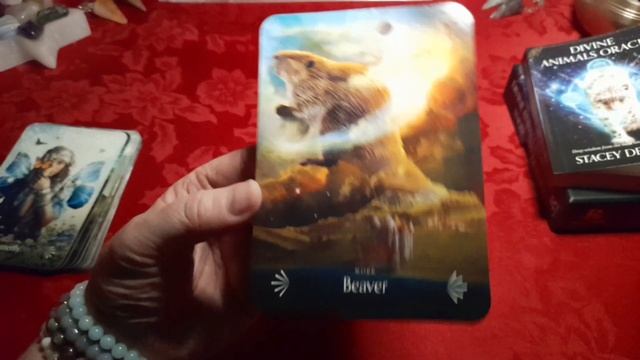 Divine Animals Oracle - Deck Review & Flip-Through смотреть онлайн