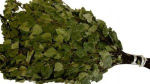 Банные веники - заготовка и реализация. Бизнес-идея без вложений