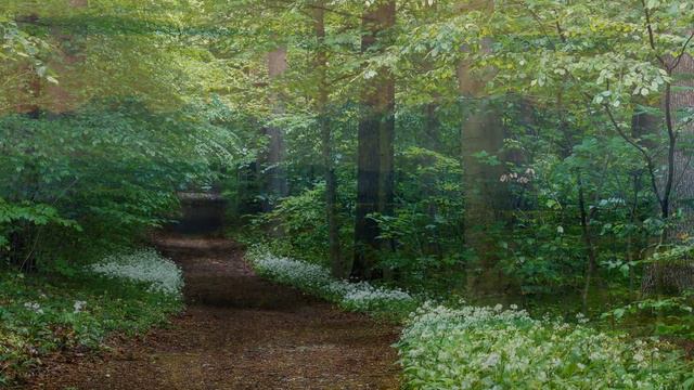 "Kyrie" - Iiro Rantala, Lars Danielsson & Peter Erskine - by Johann Sebastian Bach смотреть онлайн