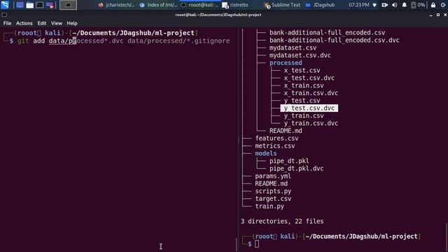 ML Experiment Tracking with DVC and DagsHub Logger (Dagshub Tutorial) смотреть онлайн