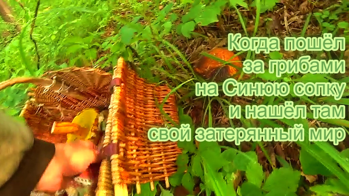 Когда пошёл за грибами на Синюю сопку и нашёл свой затерянный мир. Город Артеме-2024