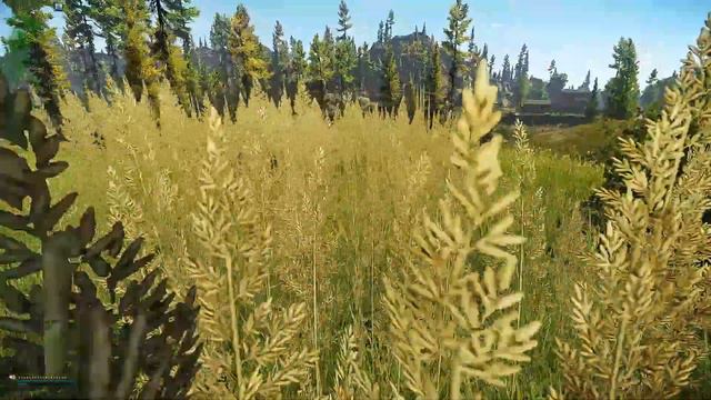 Escape from Tarkov - Shoreline - Path to Lighthouse exit camper смотреть онлайн