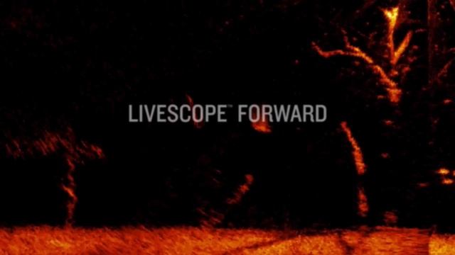 Профессиональный сканирующий эхолот Garmin Panoptix Livescope смотреть онлайн