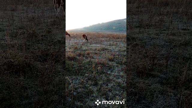 осенний день